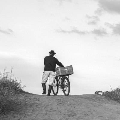 Ein Mann mit weißer Hose, dunkler Jacke und Hut schiebt ein Fahrrad mit einem Korb einen Feldweg entlang.